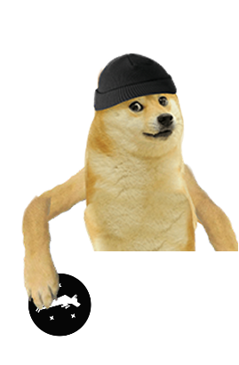Doge